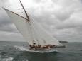 L'�l�gance des formes de Winibelle II