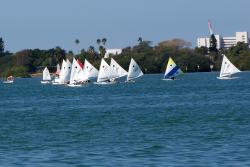 D�part de r�gate en Sunfish