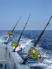 P�che - Cavalaire sur mer