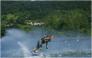 Ski nautique / Wake - Aix les Bains - Lac du Bourget