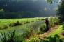 P�che - C�te d'Alb�tre