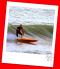 Surf / Bodyboard - Les Dunes de Flandre