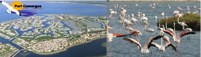 Grau du Roi - Port Camargue